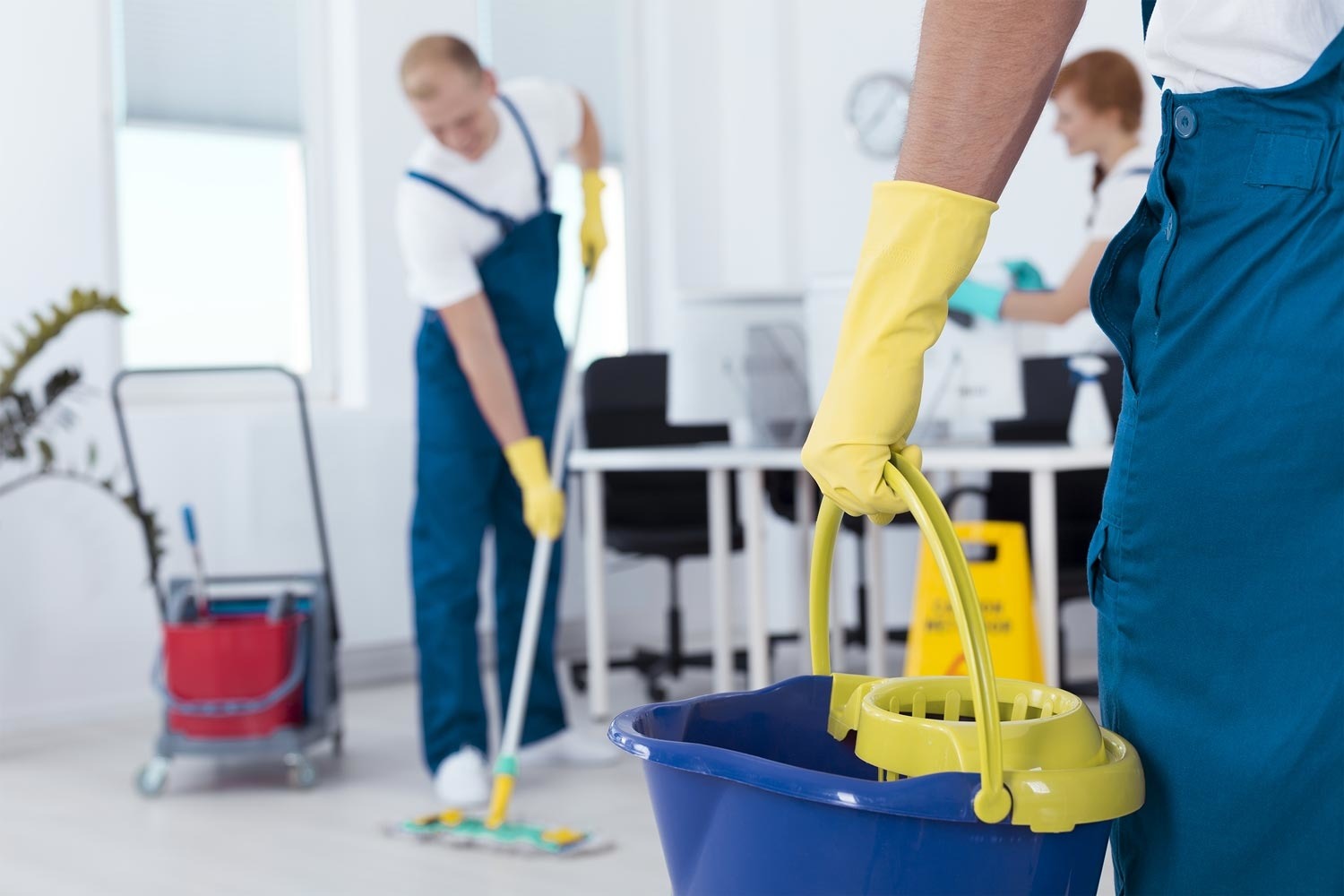 Société de nettoyage, des services indispensables pour professionnels