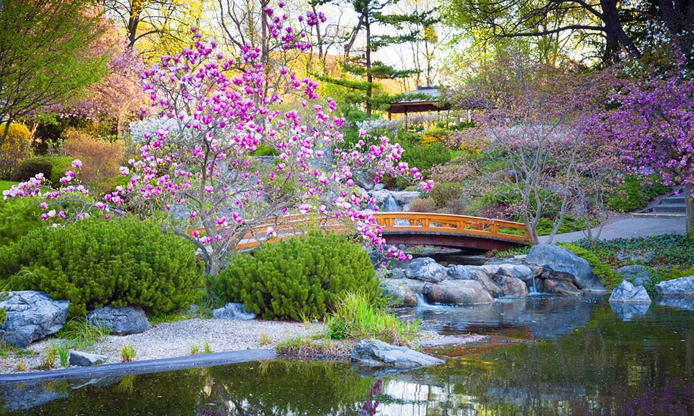 Comment créer un jardin japonais ?